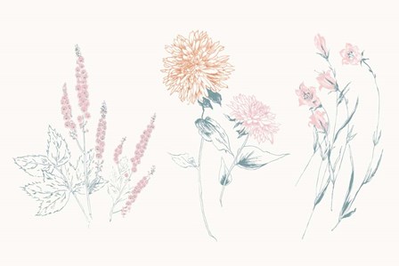 Flowers on White VIII Contemporary by Wild Apple Portfolio art print