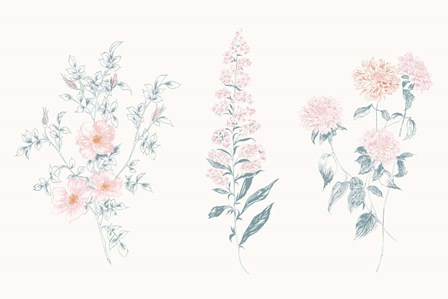 Flowers on White IX Contemporary by Wild Apple Portfolio art print