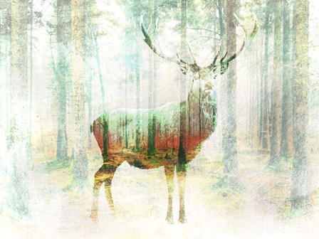 Lord of the Woods by Arlo Wren Photos art print