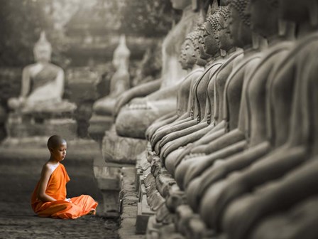 Young Buddhist Monk Praying, Thailand (BW) by Pangea Images art print