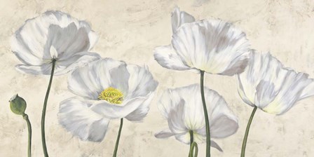 Poppies in White by Luca Villa art print