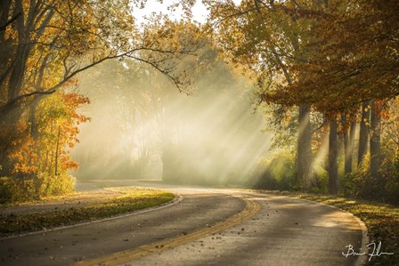 Autumn Drive by 5fishcreative art print