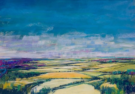 Patchwork Fields IV by Jennifer Gardner art print