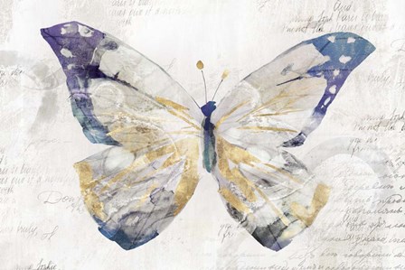 Butterfly Effect I by Isabelle Z art print