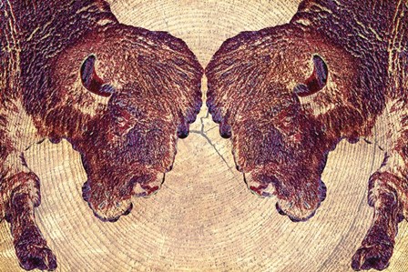 Bison 2 by Surma &amp; Guillen art print