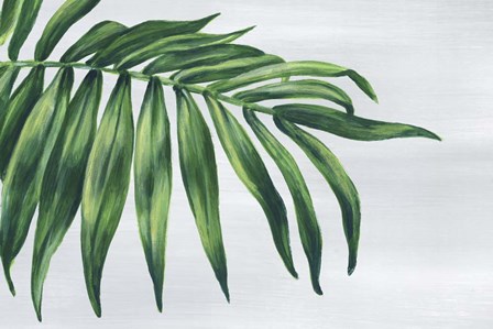 Tropical Leaf I by Eva Watts art print