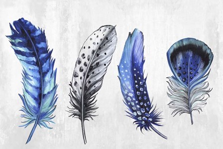 Feather Line up by Eva Watts art print