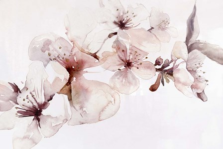 Watercolor Blossoms I by Posters International Studio art print