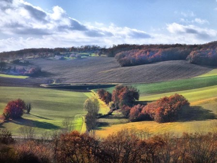 Pastoral Countryside IX by Colby Chester art print