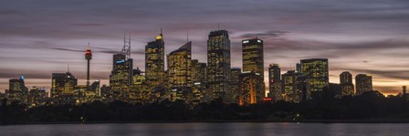 Sydney Skyline by Danny Head art print