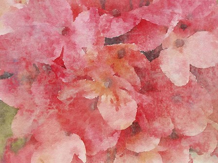 Dusty Pink by Irena Orlov art print