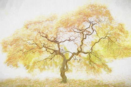 Golden Tree by PHBurchett art print