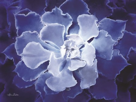 Blue Succulent I by Lori Deiter art print