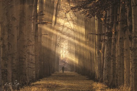 Walking the Dog Again by Martin Podt art print