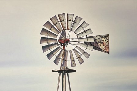 Windmill Close-Up by White Ladder art print