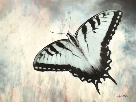 Teal Butterfly II by Lori Deiter art print