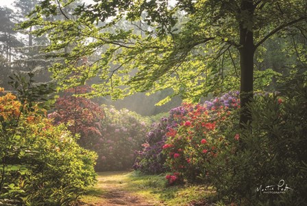 Garden of Eden by Martin Podt art print