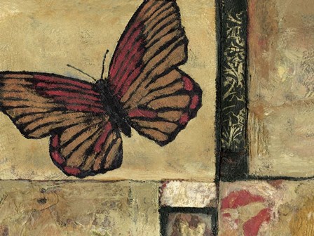 Butterfly in Border I by Judi Bagnato art print