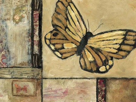 Butterfly in Border II by Judi Bagnato art print