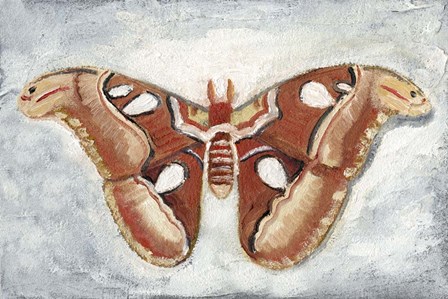 Papillon de Nuit I by Alicia Ludwig art print