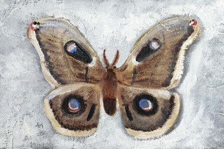 Papillon de Nuit II by Alicia Ludwig art print