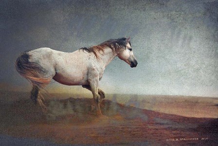 White Horse Dust Storm by Chris Vest art print