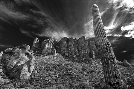 Saguaros Lost Dutchman State Park Arizona Superstition Mtns 1 by Tom Brossart art print