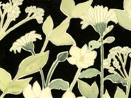 White Night Flowers I by Grace Popp art print