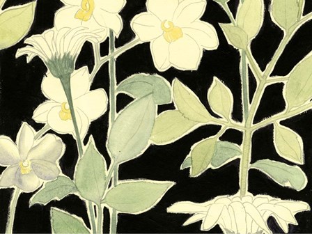 White Night Flowers II by Grace Popp art print