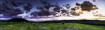 Montana Farmland by Duncan art print