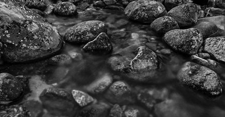 River Rocks 2 Black &amp; White by Duncan art print