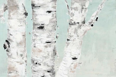 Birch Tree Close Up by Marie-Elaine Cusson art print