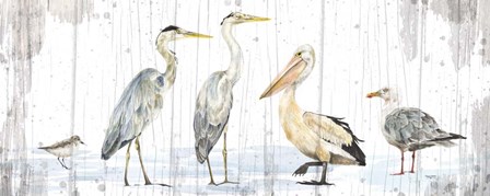 Birds of the Coast Rustic Panel by Tara Reed art print