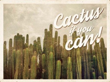 Cactus If You Can by Ashley Hutchins art print