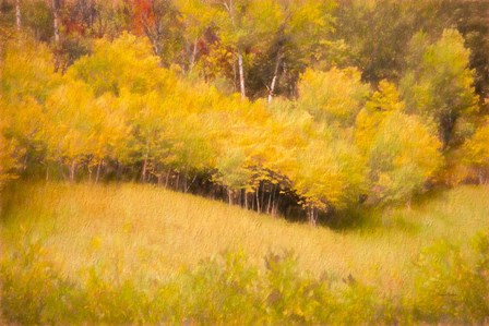 Fall Thicket by Ramona Murdock art print