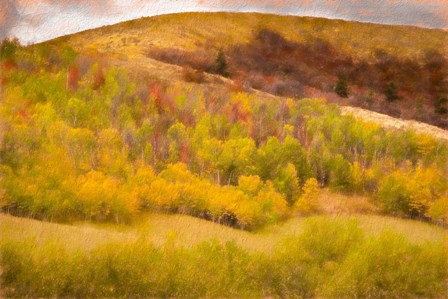 Autumn on the Hill by Ramona Murdock art print