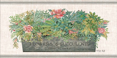 Flowers &amp; Succulents by Cindy Jacobs art print