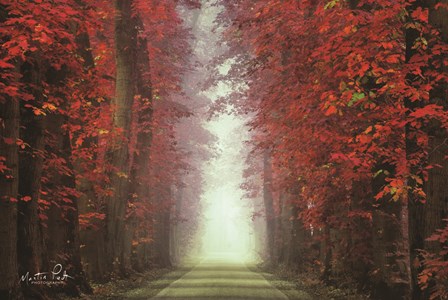 In Love with Red by Martin Podt art print