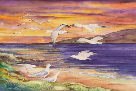 Seagull Sunset by Kathleen Parr McKenna art print