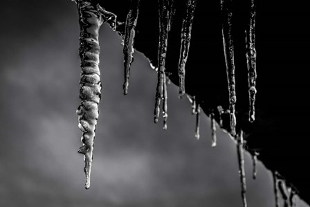 Icicles 01 by Anita Vincze art print