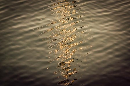 Painted on Water 06 by Anita Vincze art print