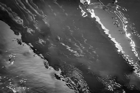 Painted on Water 15 by Anita Vincze art print