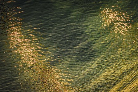 Painted on Water 16 by Anita Vincze art print