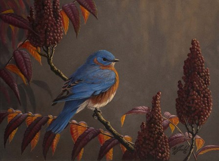 Autumn Bluebird by Wilhelm J. Goebel art print
