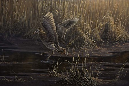 Dropping In by Wilhelm J. Goebel art print