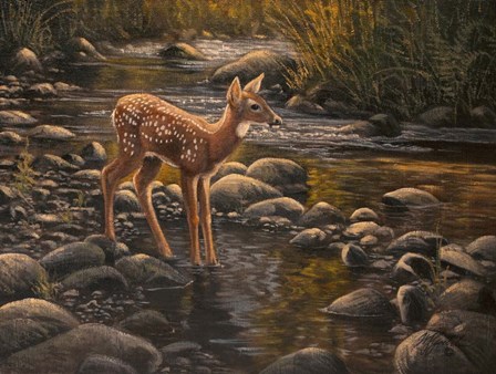 Water&#39;s Edge - Fawn by Wilhelm J. Goebel art print