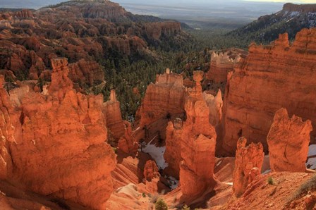 Illumination by Bill Sherrell art print