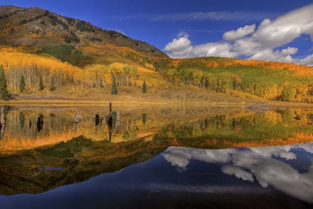 Reflecting On Autumn by Bill Sherrell art print