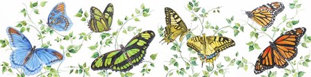 Summertime Butterflies E by Jean Plout art print