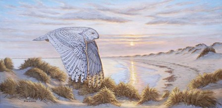 Northern Visitor by Bruce Dumas art print